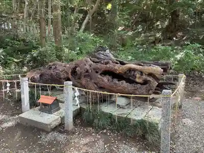 泉神社(茨城県)