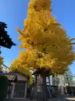 重林寺のその他建物