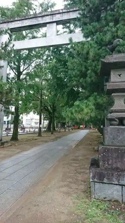 葛飾八幡宮の鳥居
