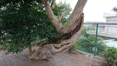 桃澤神社(静岡県)