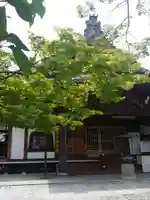 桜寿院の本殿・本堂