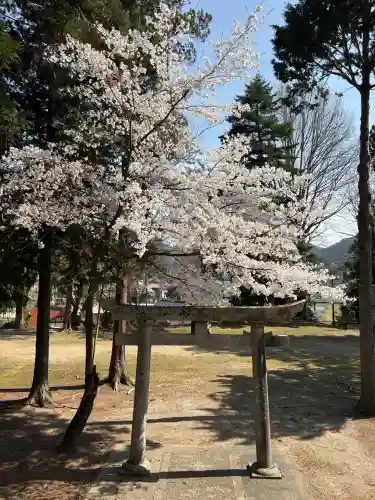 折居神社の{uncategorized: "未分類", other: "その他", undefined: "問題あり", building: "その他建物", grave: "お墓", sacred_gate: "鳥居", guardian: "狛犬", statue: "像", buddha: "仏像", history: "歴史", nature: "自然", garden: "庭園", animal: "動物", pagoda: "塔", temizu: "手水舎", mountain_gate: "山門・神門", sanctuary: "本殿・本堂", subordinate: "末社・摂社", art: "芸術", scenery: "景色", jizo: "地蔵", ema: "絵馬", goshuin: "御朱印", omikuji: "おみくじ", items: "授与品その他", amulet: "お守り", goshuincho: "御朱印帳", eats: "食事", festival: "お祭り", votive_dance: "神楽", shichigosan: "七五三参", wedding: "結婚式", experience: "体験その他", initially: "初詣", around: "周辺", anti_infection: "感染症対策"}