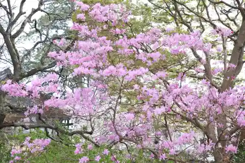 高麗神社の{uncategorized: "未分類", other: "その他", undefined: "問題あり", building: "その他建物", grave: "お墓", sacred_gate: "鳥居", guardian: "狛犬", statue: "像", buddha: "仏像", history: "歴史", nature: "自然", garden: "庭園", animal: "動物", pagoda: "塔", temizu: "手水舎", mountain_gate: "山門・神門", sanctuary: "本殿・本堂", subordinate: "末社・摂社", art: "芸術", scenery: "景色", jizo: "地蔵", ema: "絵馬", goshuin: "御朱印", omikuji: "おみくじ", items: "授与品その他", amulet: "お守り", goshuincho: "御朱印帳", eats: "食事", festival: "お祭り", votive_dance: "神楽", shichigosan: "七五三参", wedding: "結婚式", experience: "体験その他", initially: "初詣", around: "周辺", anti_infection: "感染症対策"}