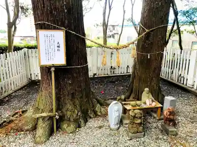 熊野神社(宮崎県)