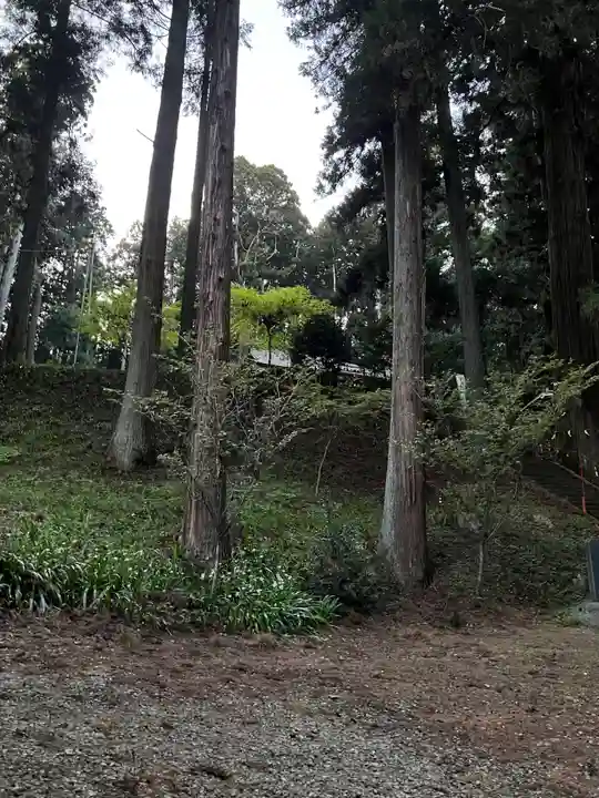 大宮温泉神社(栃木県)
