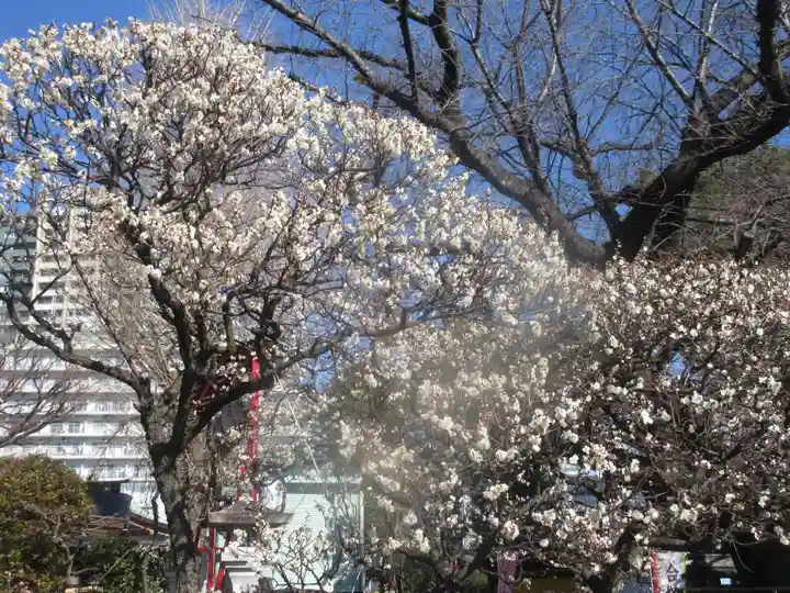 居木神社の自然