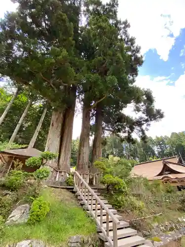 金剛三昧院(和歌山県)