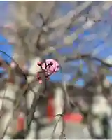瀧宮神社(広島県)