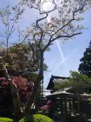 海門寺の景色