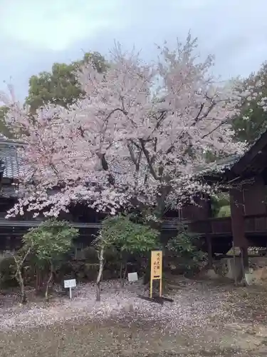 手力雄神社の庭園