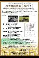 浅草神社(東京都)