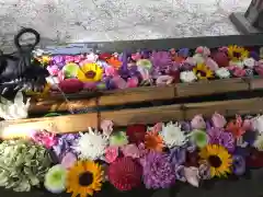 札幌護國神社の手水