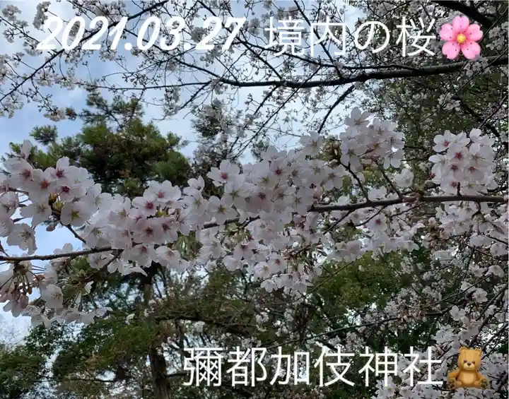 彌都加伎神社の自然