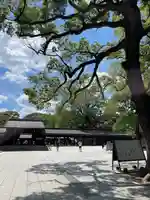 明治神宮(東京都)