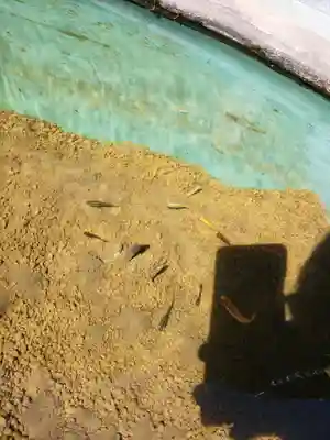 妙蓮寺のその他建物