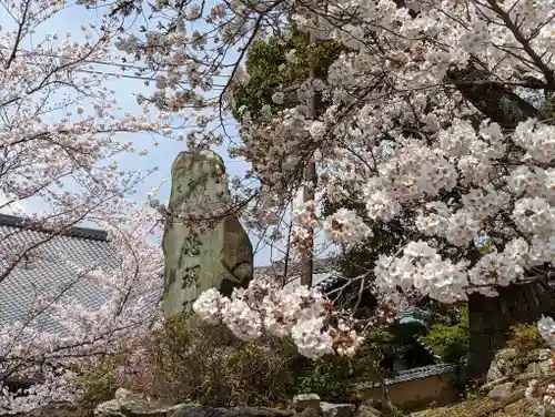 くろ谷 金戒光明寺(京都府)