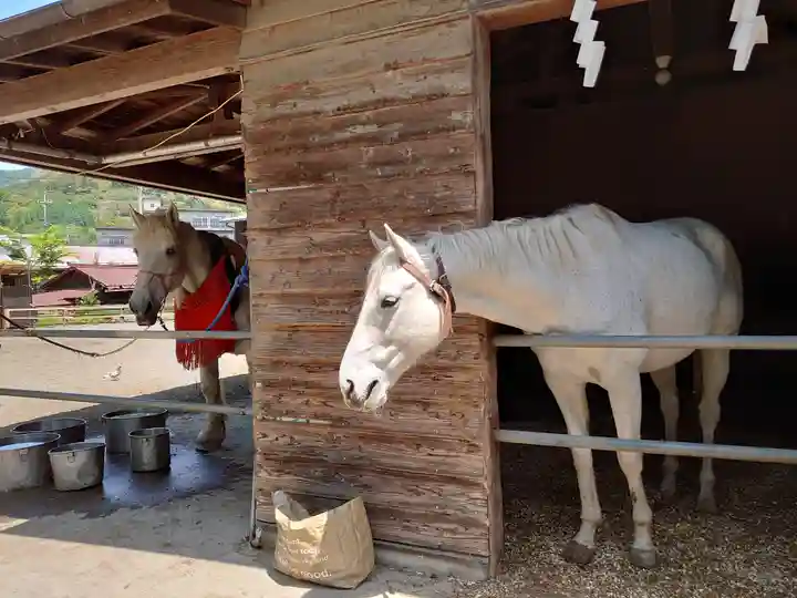 小室浅間神社の動物