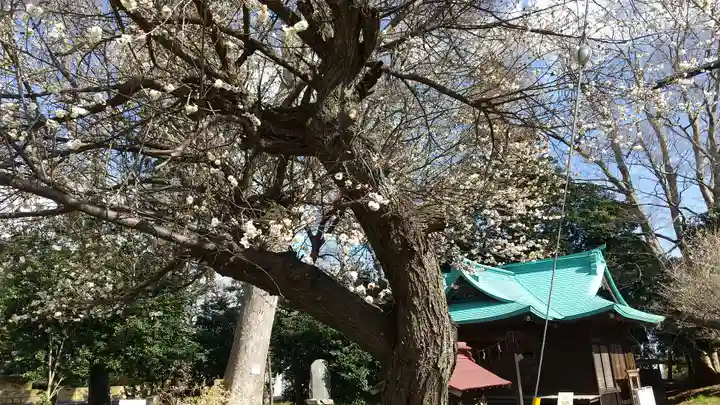 酒門神社のその他建物