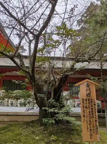 香取神宮(千葉県)