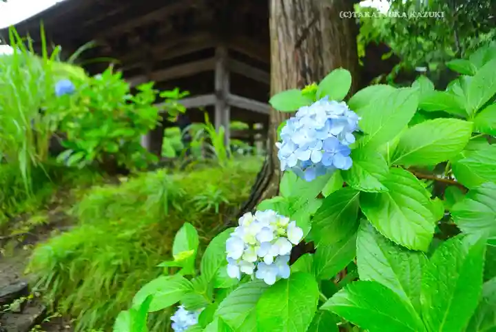 円覚寺(神奈川県)