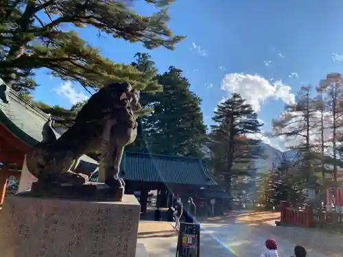 日光二荒山神社の狛犬