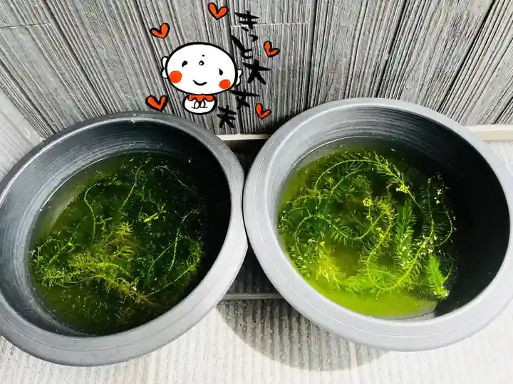 松本山 地福禅寺(滋賀県)