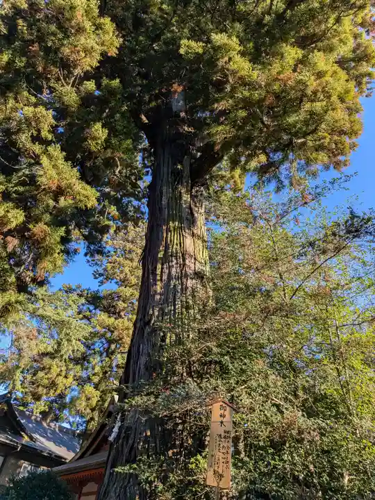 香取神宮(千葉県)