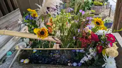 勝林寺(京都府)