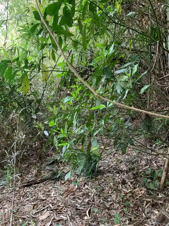 妙見神社(千葉県)