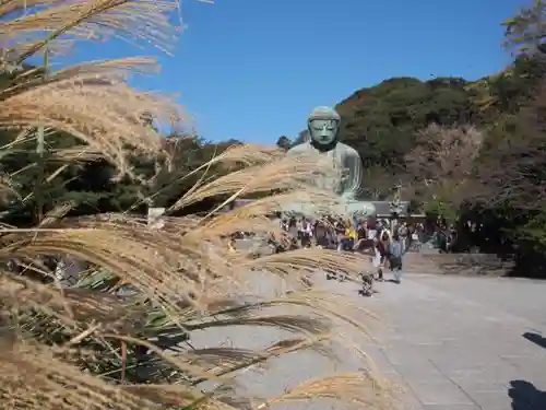 高徳院の仏像