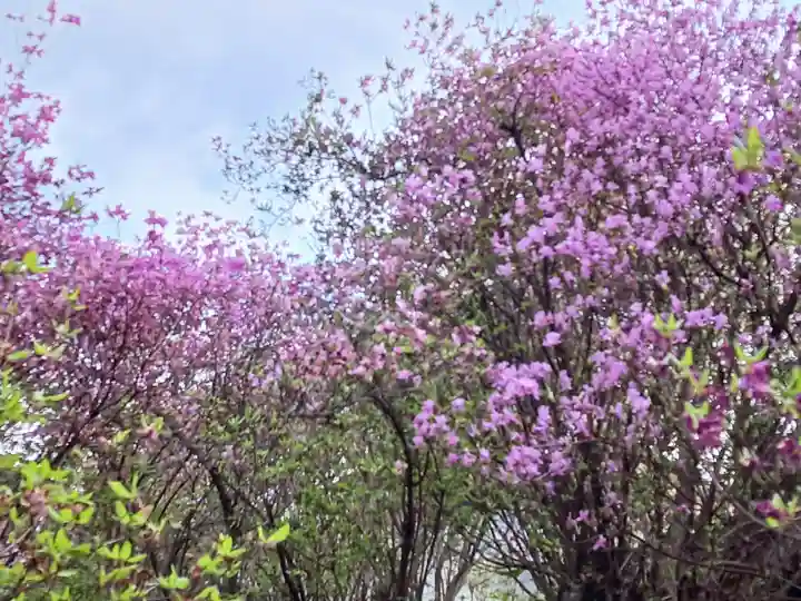廣田神社(兵庫県)