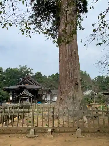 弘経寺(茨城県)