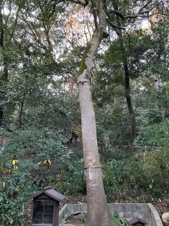美具久留御魂神社(大阪府)