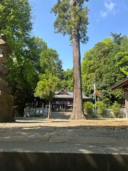 豊鹿嶋神社(東京都)