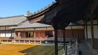 隨心院(随心院)(京都府)