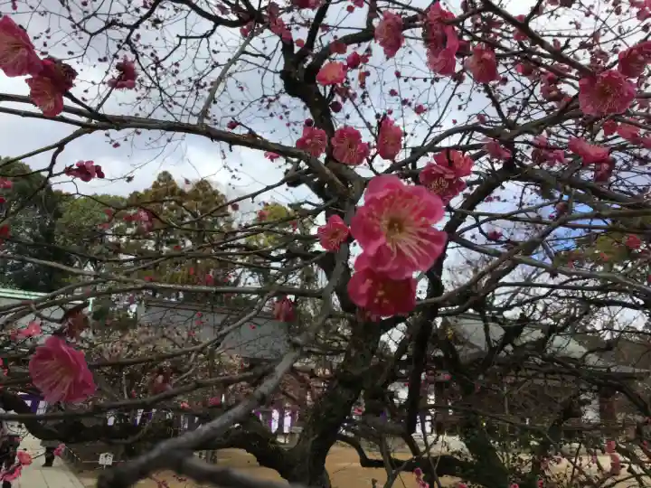 北野天満宮(京都府)
