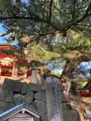 日御碕神社(島根県)