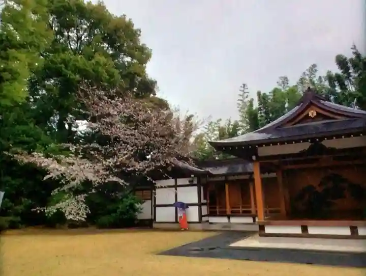 阿佐ヶ谷神明宮(東京都)