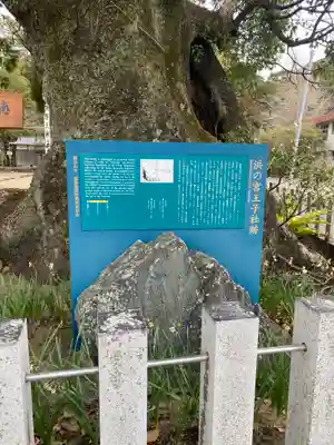 熊野三所大神社（浜の宮王子）(和歌山県)