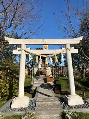 神道大教大和八幡神社の初詣