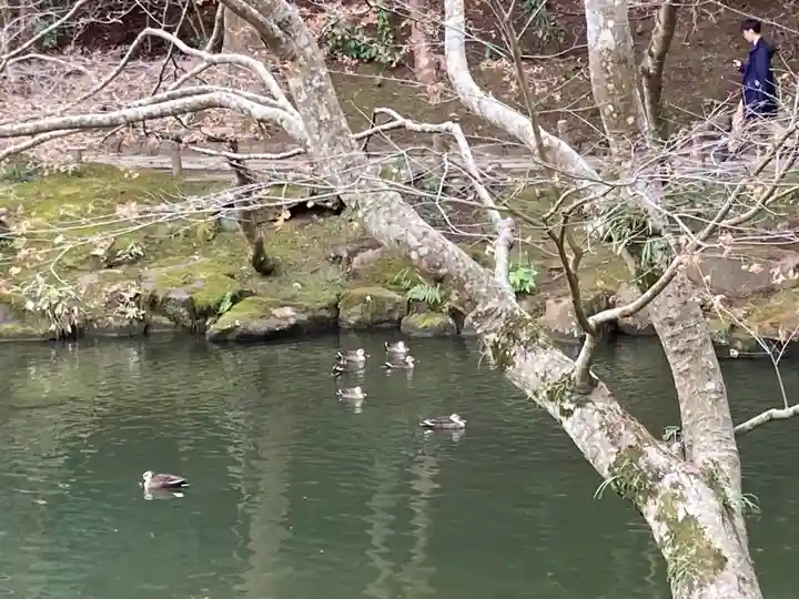 成田山新勝寺(千葉県)