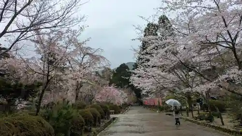 醍醐寺(京都府)