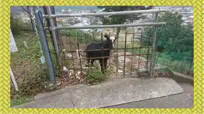 賀茂別雷神社(栃木県)