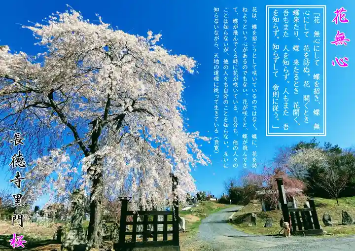 長徳寺の山門・神門