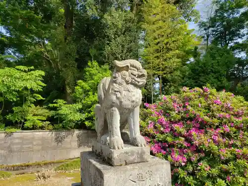 白山宮の狛犬