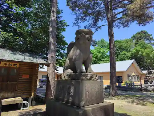 上富良野神社の狛犬