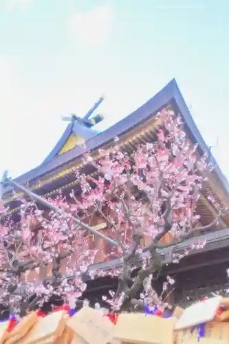 湯島天満宮(東京都)