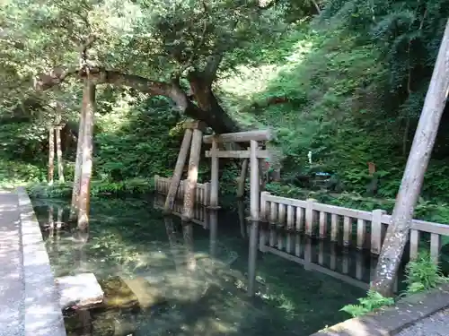 鹿島神宮の庭園