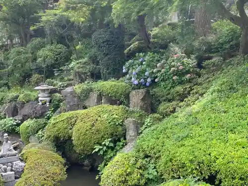 林光寺の庭園