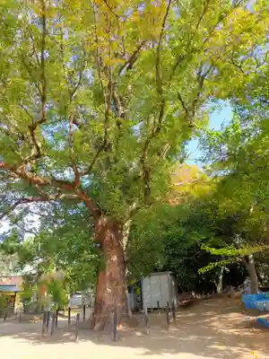 屯倉神社(大阪府)